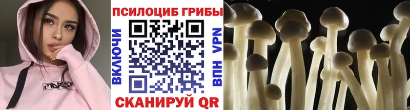 Галлюциногенные грибы мицелий  купить наркотики цена  Юрьевец 
